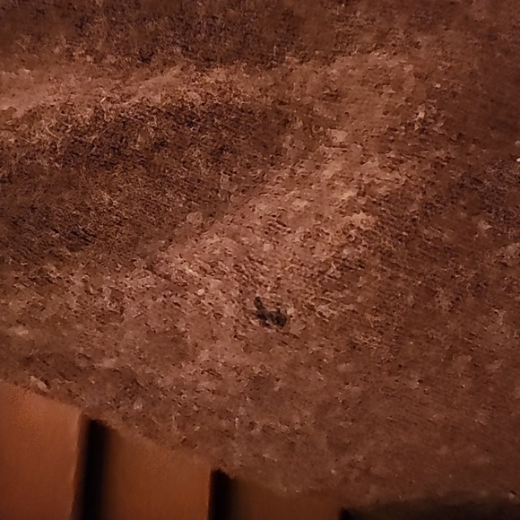 Moth Anthropology Brand Embroidered Sweater - Picture 8 of 10